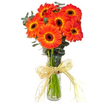 Florero 10 gerberas naranjas con ruscus